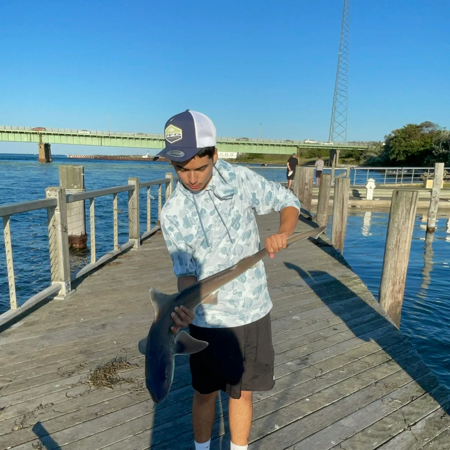 Sandbar shark caught on Fishbrain