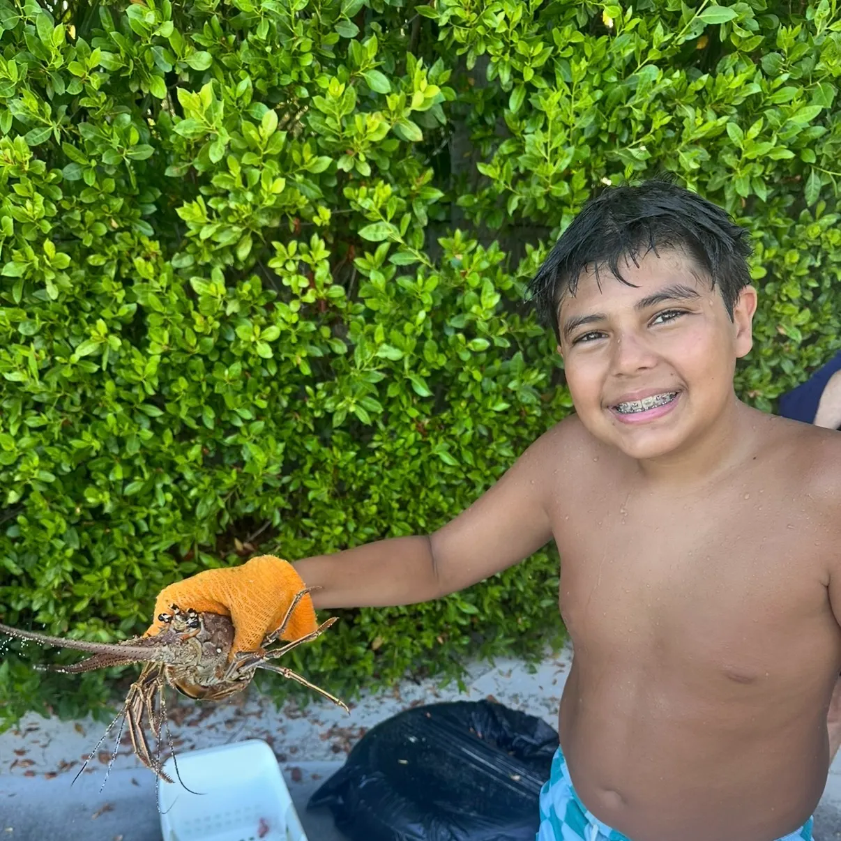 The most recent Caribbean spiny lobster catches on Fishbrain