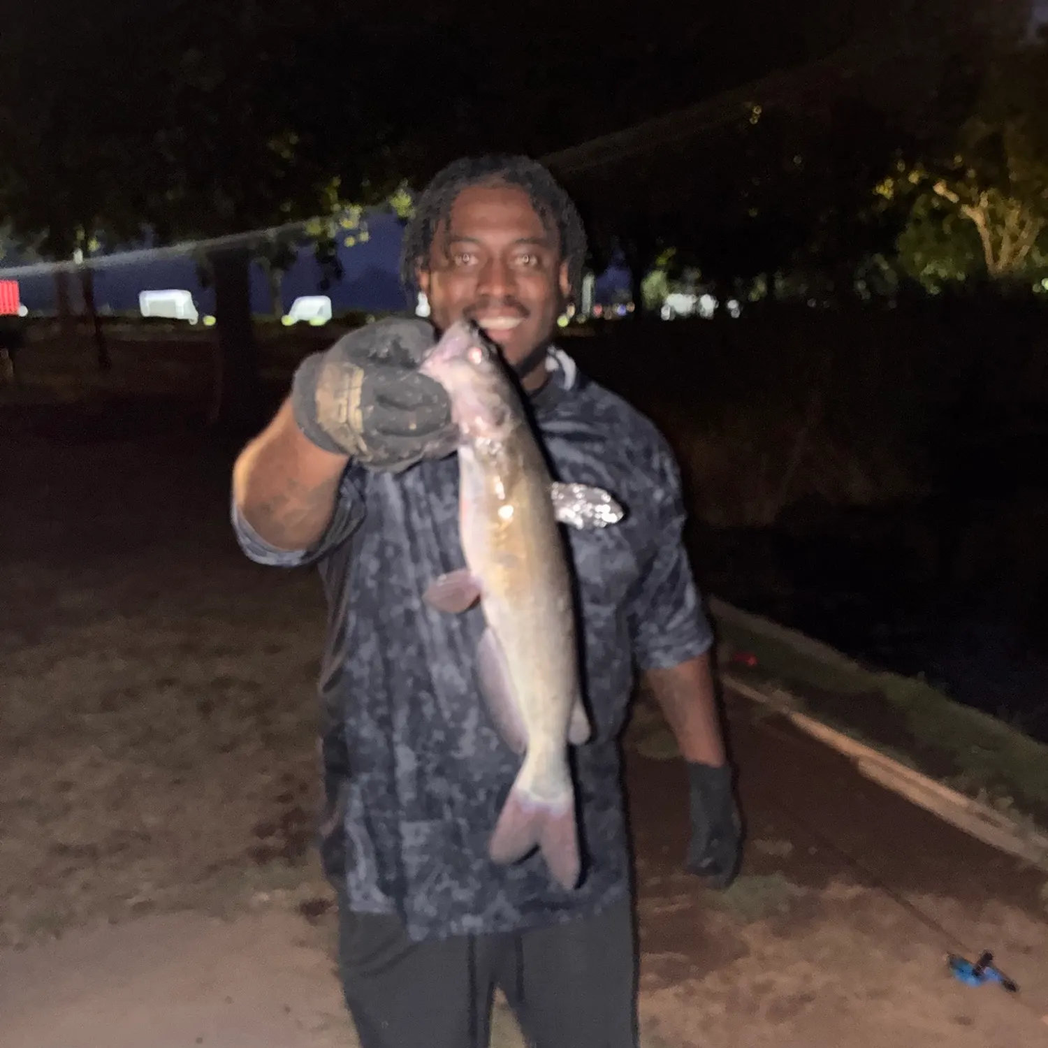 Channel catfish caught on Fishbrain