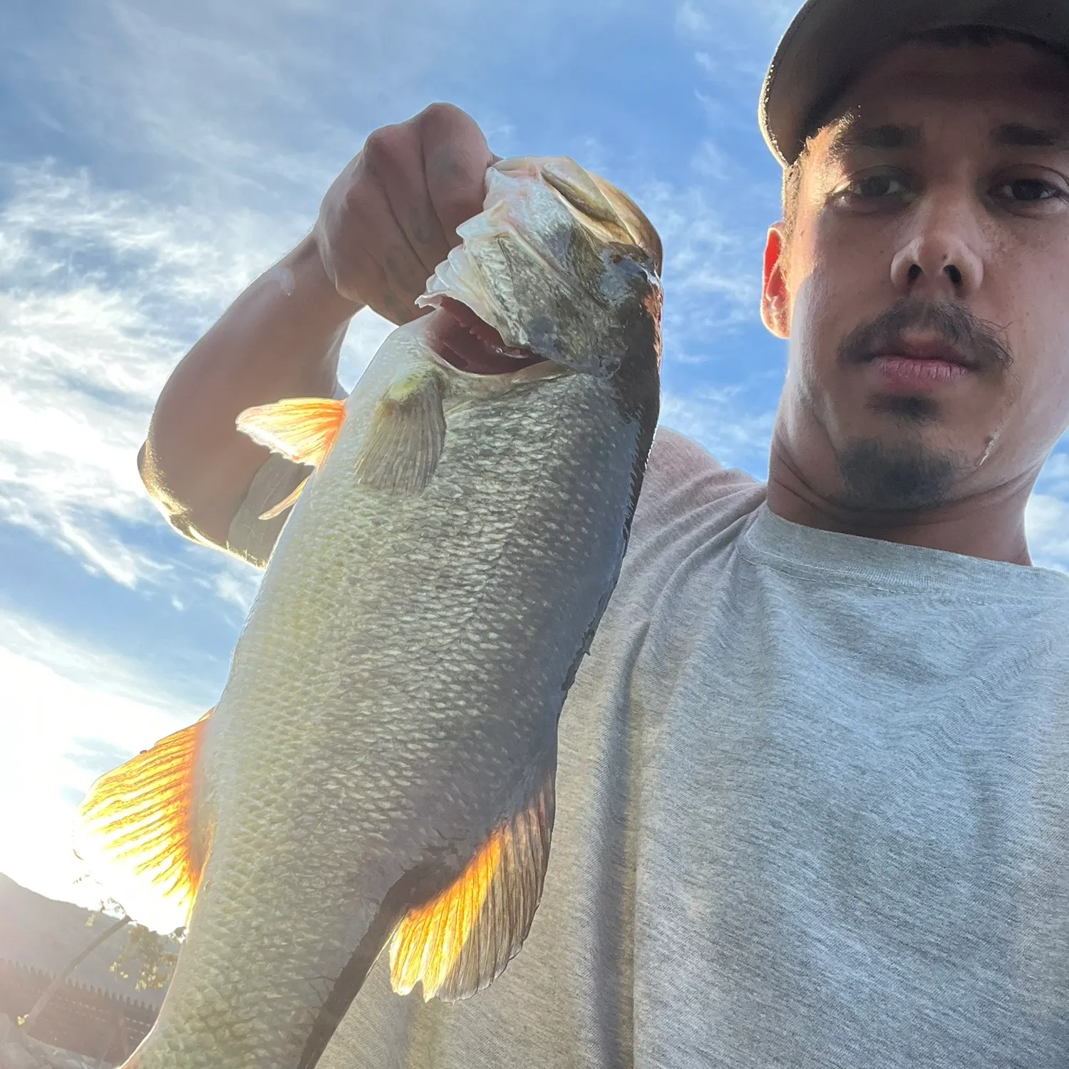 Largemouth bass caught on Fishbrain