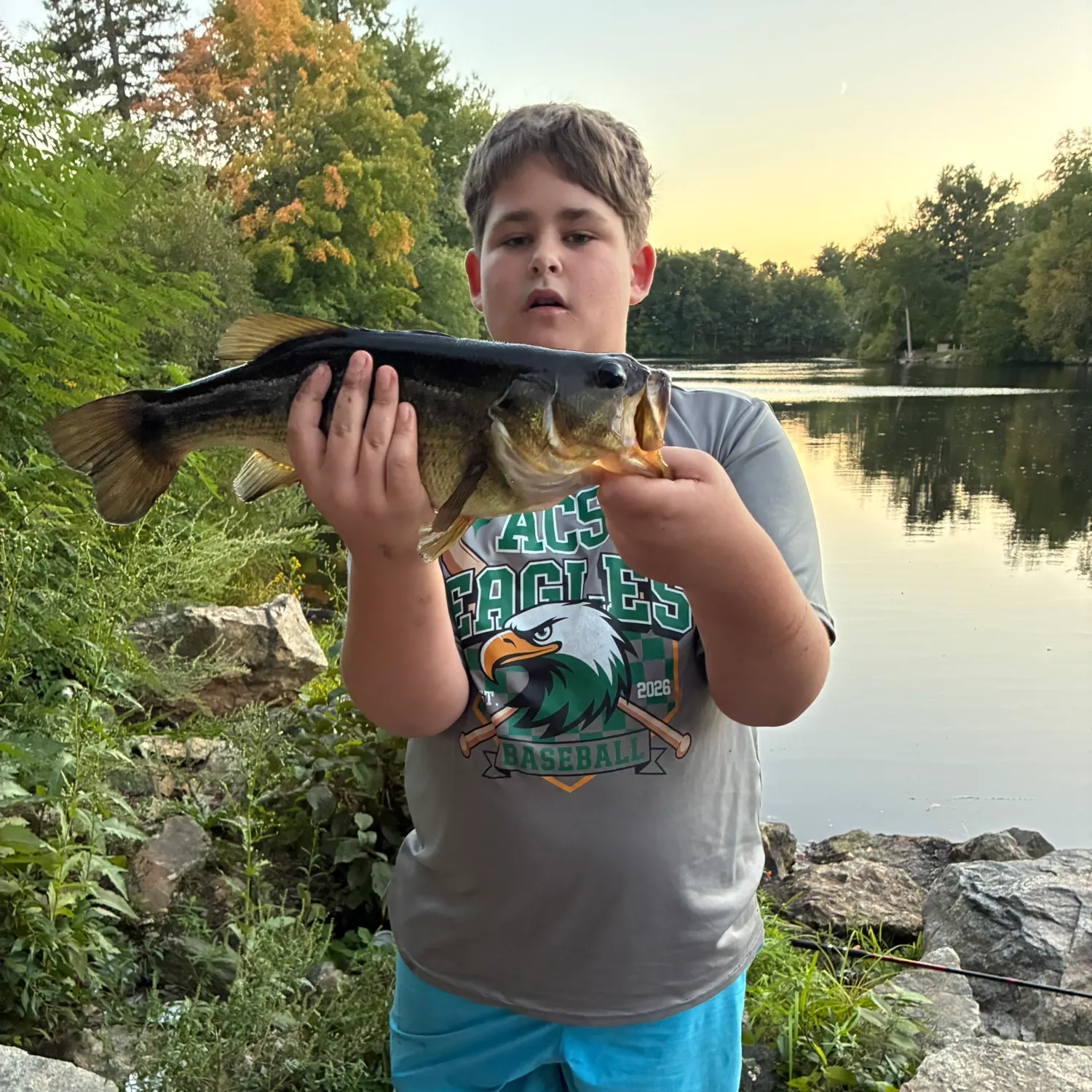 Largemouth bass caught on Fishbrain