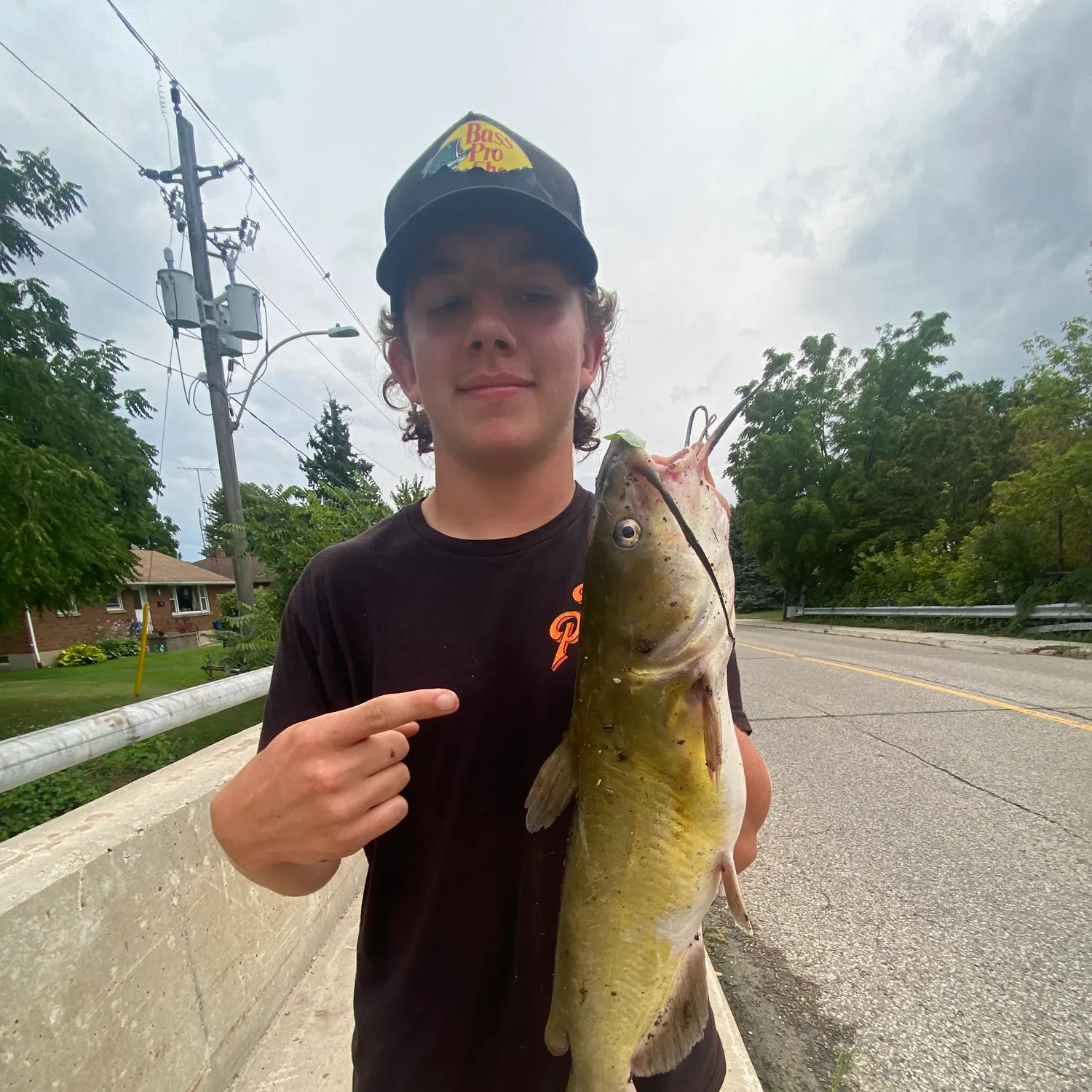 Channel catfish caught on Fishbrain