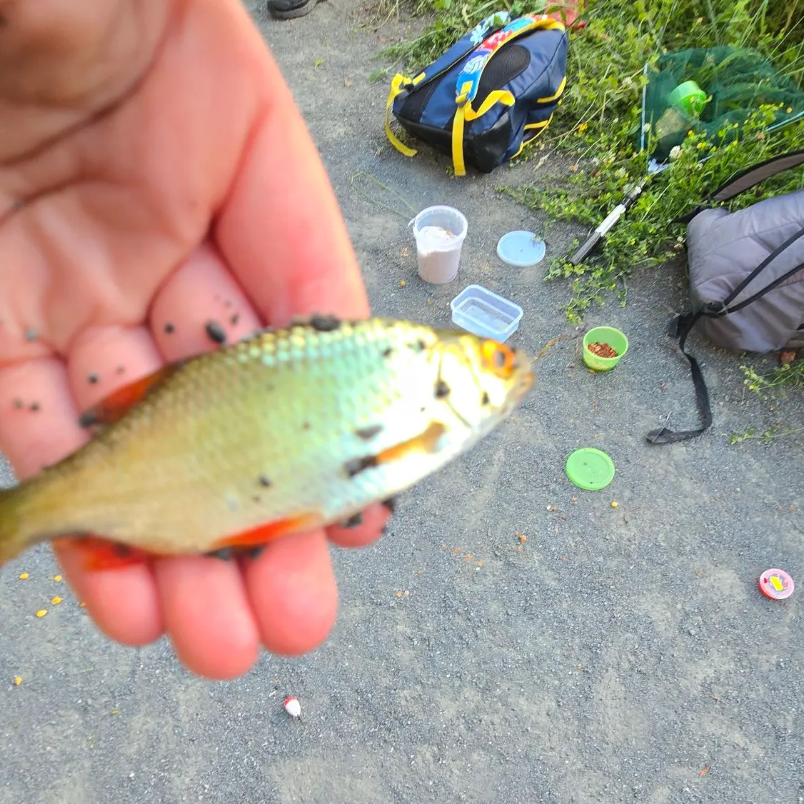 catch