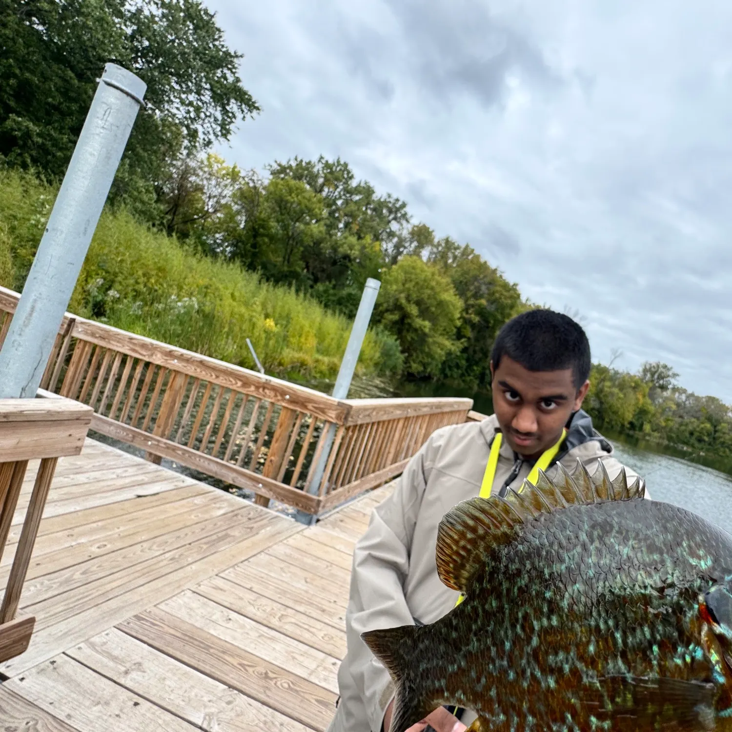 Greengill hybrid caught on Fishbrain