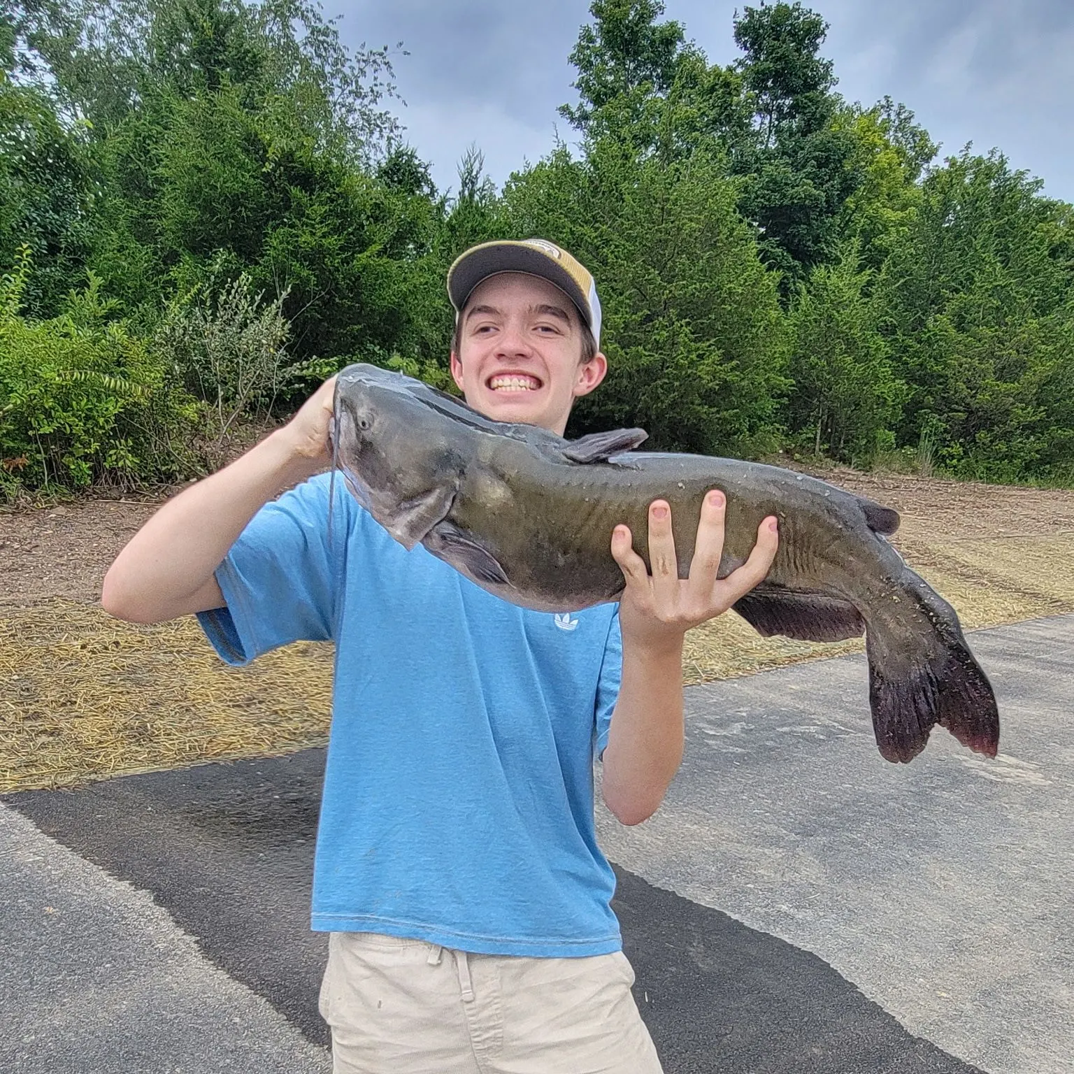 Channel catfish caught on Fishbrain