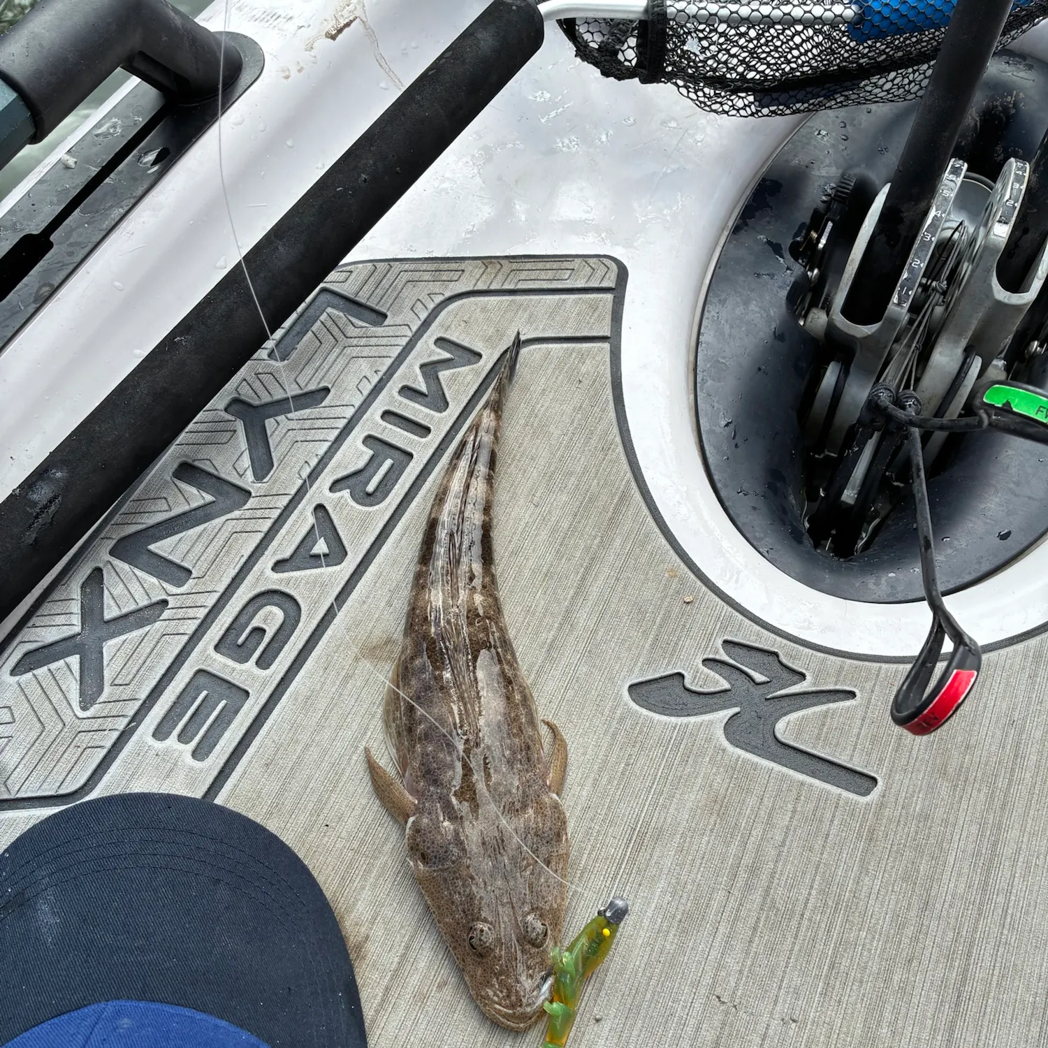 Dusky flathead caught on Fishbrain