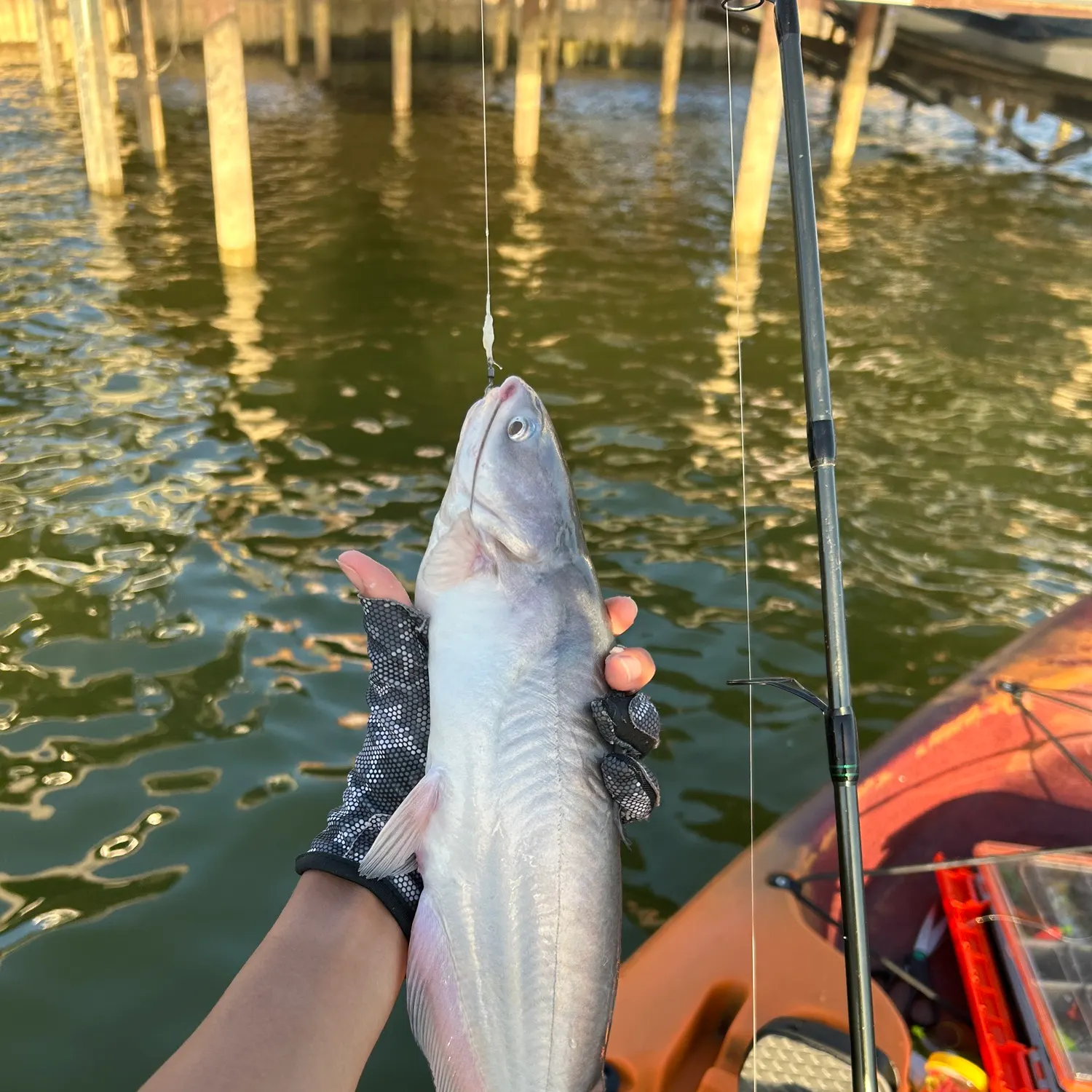catch