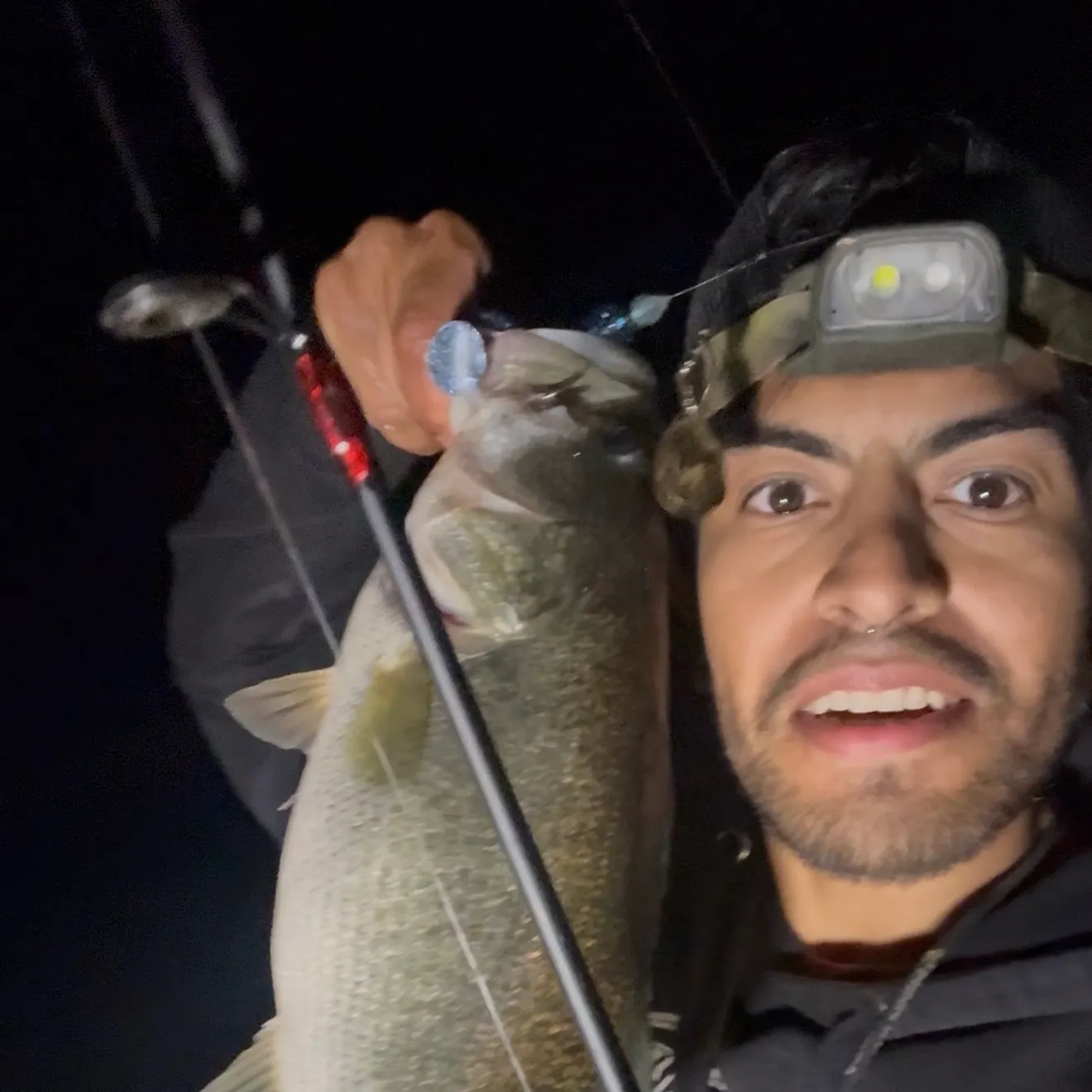 Largemouth bass caught on Fishbrain