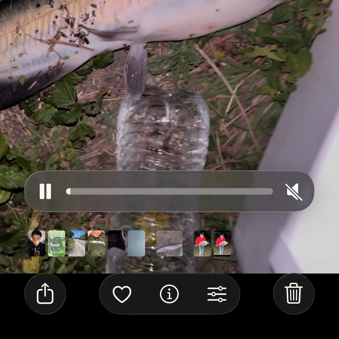 recently logged catches