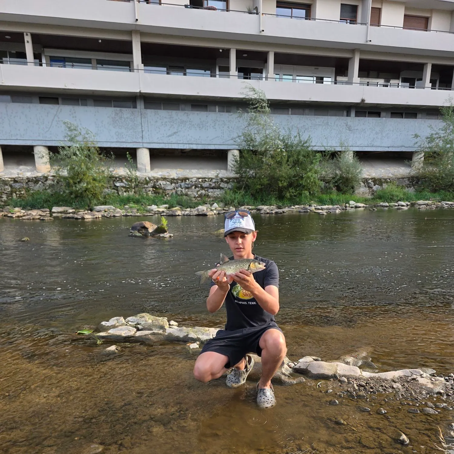 European chub caught on Fishbrain
