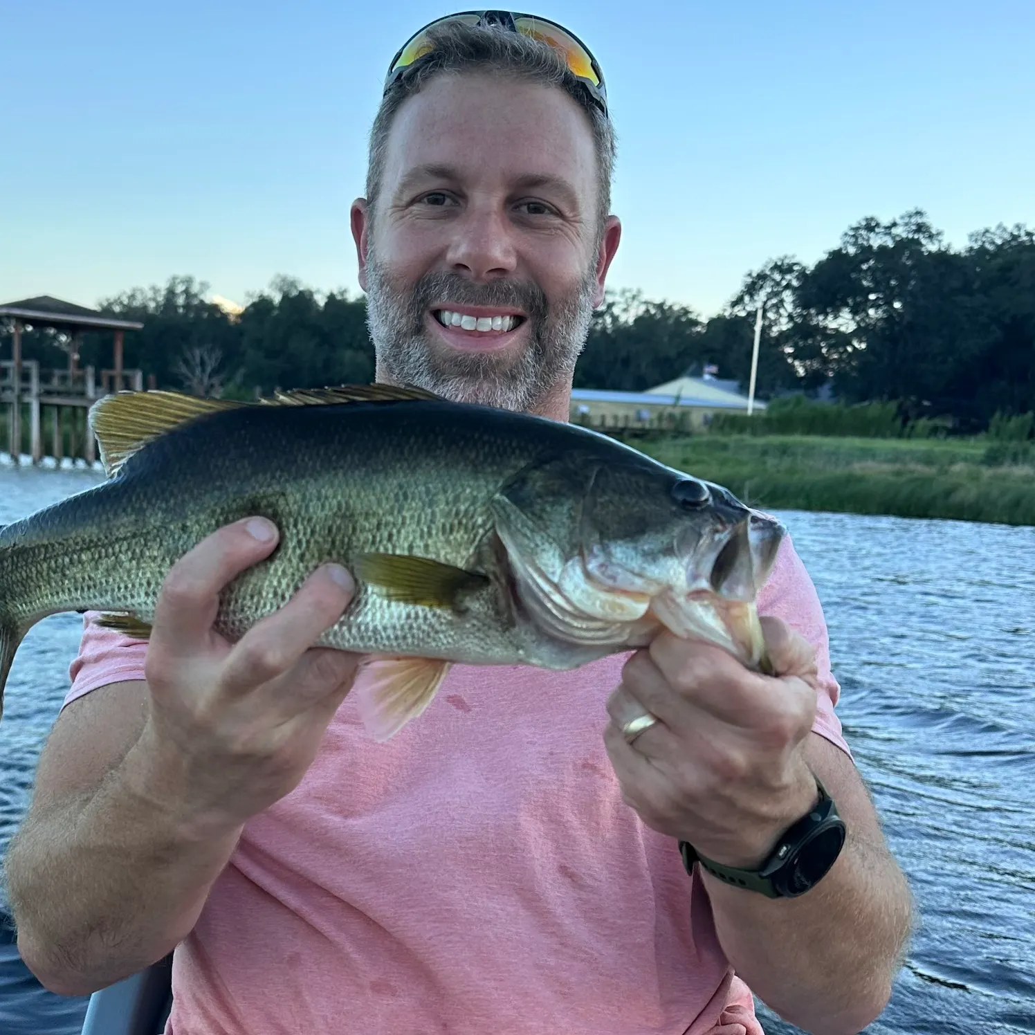 Largemouth bass caught on Fishbrain