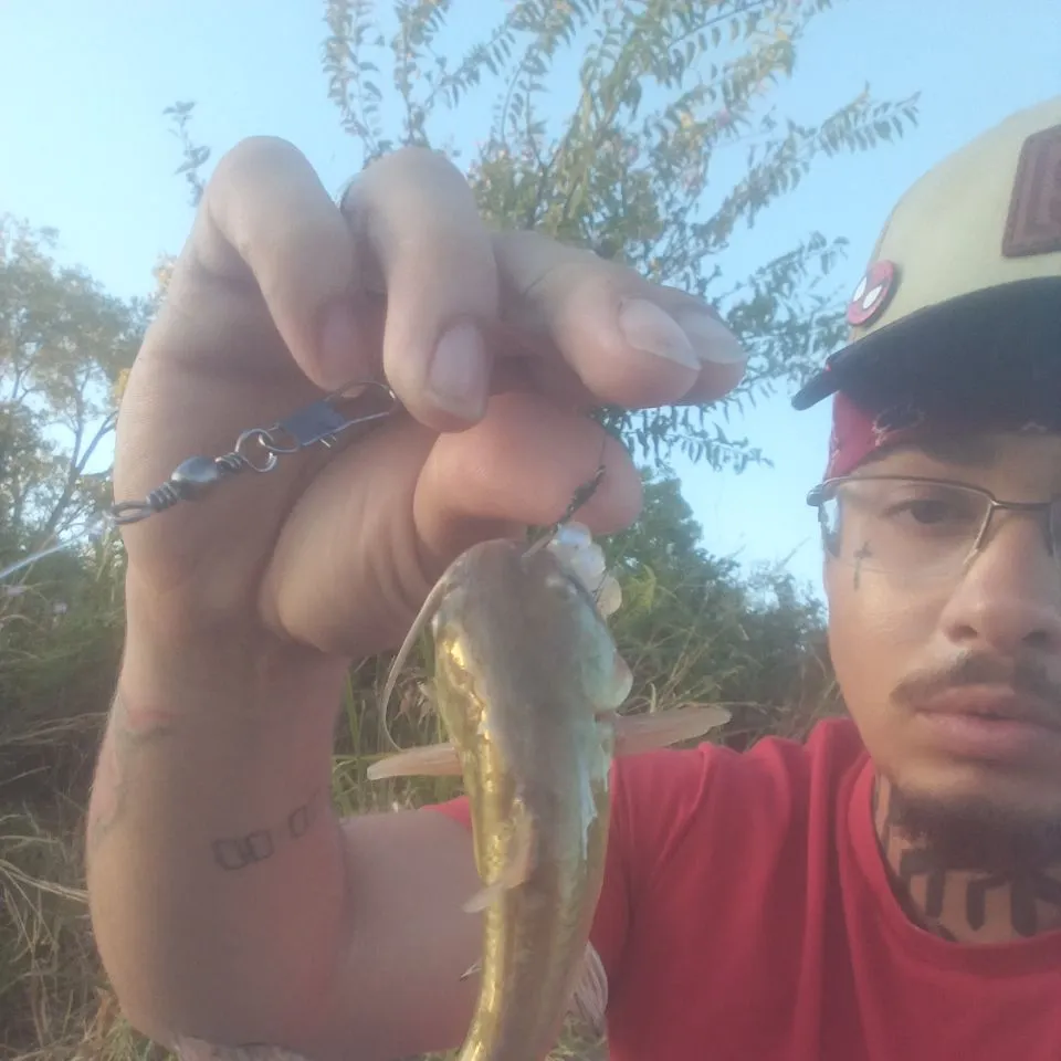 Fish caught on Fishbrain