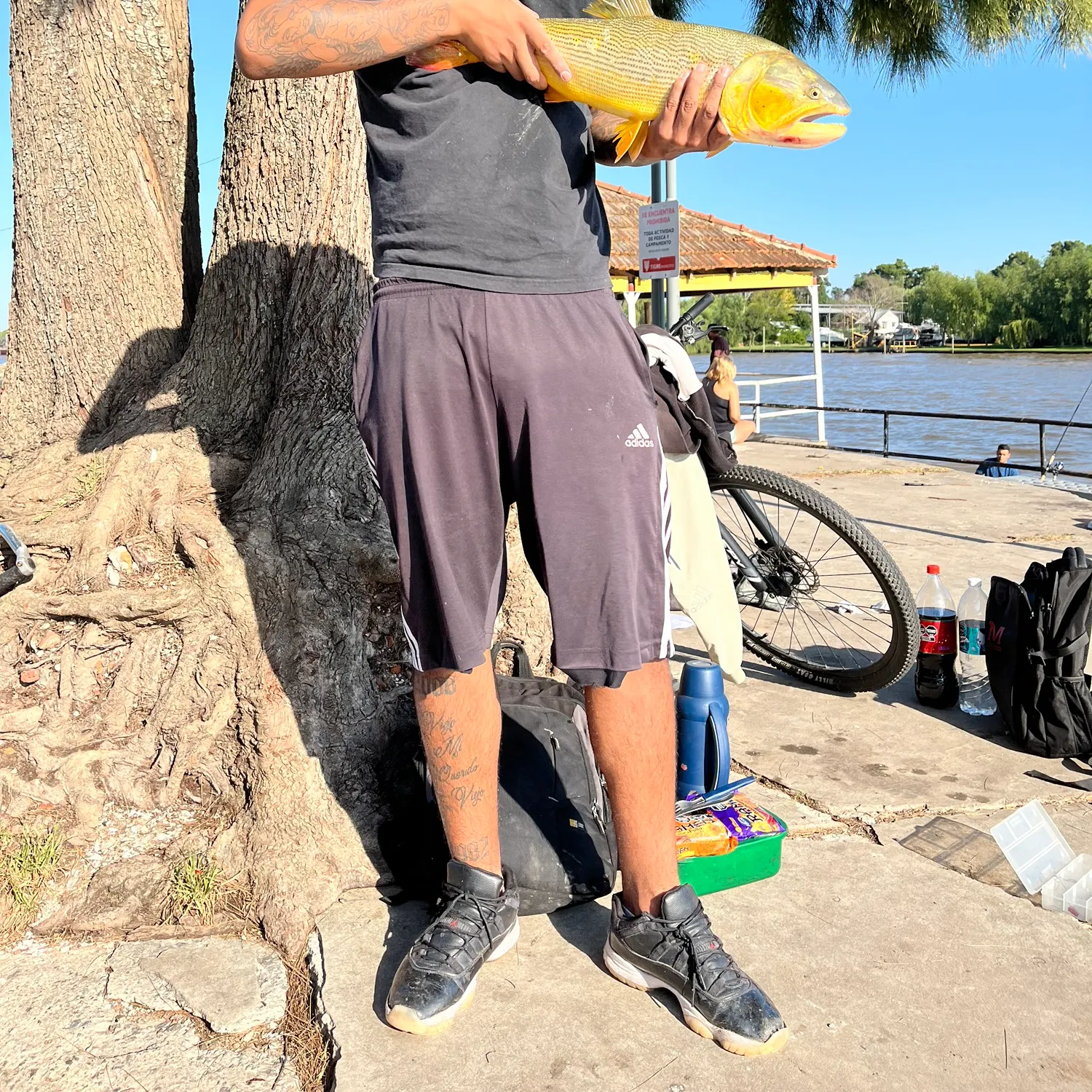 The most recent Golden dorado catches on Fishbrain