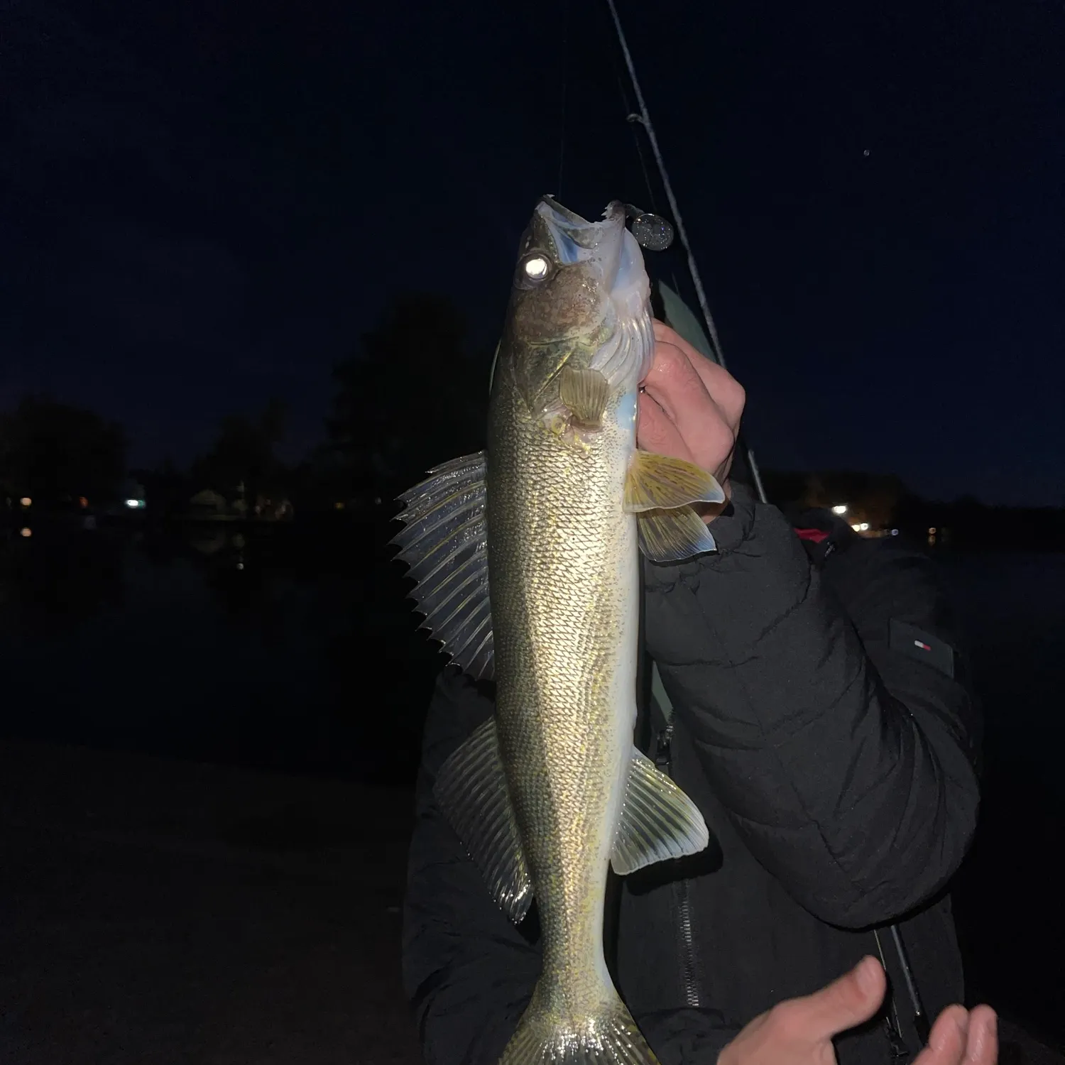 Walleye caught on Fishbrain