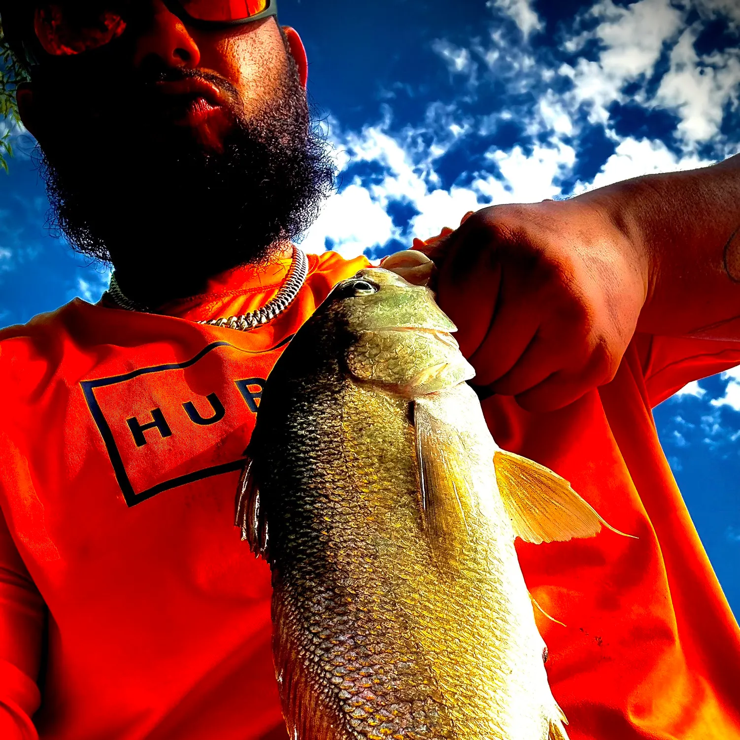 The most recent Freshwater drum catches on Fishbrain