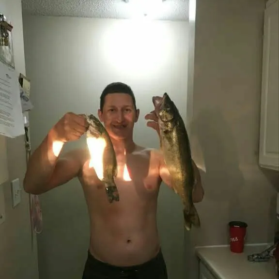 angler catch