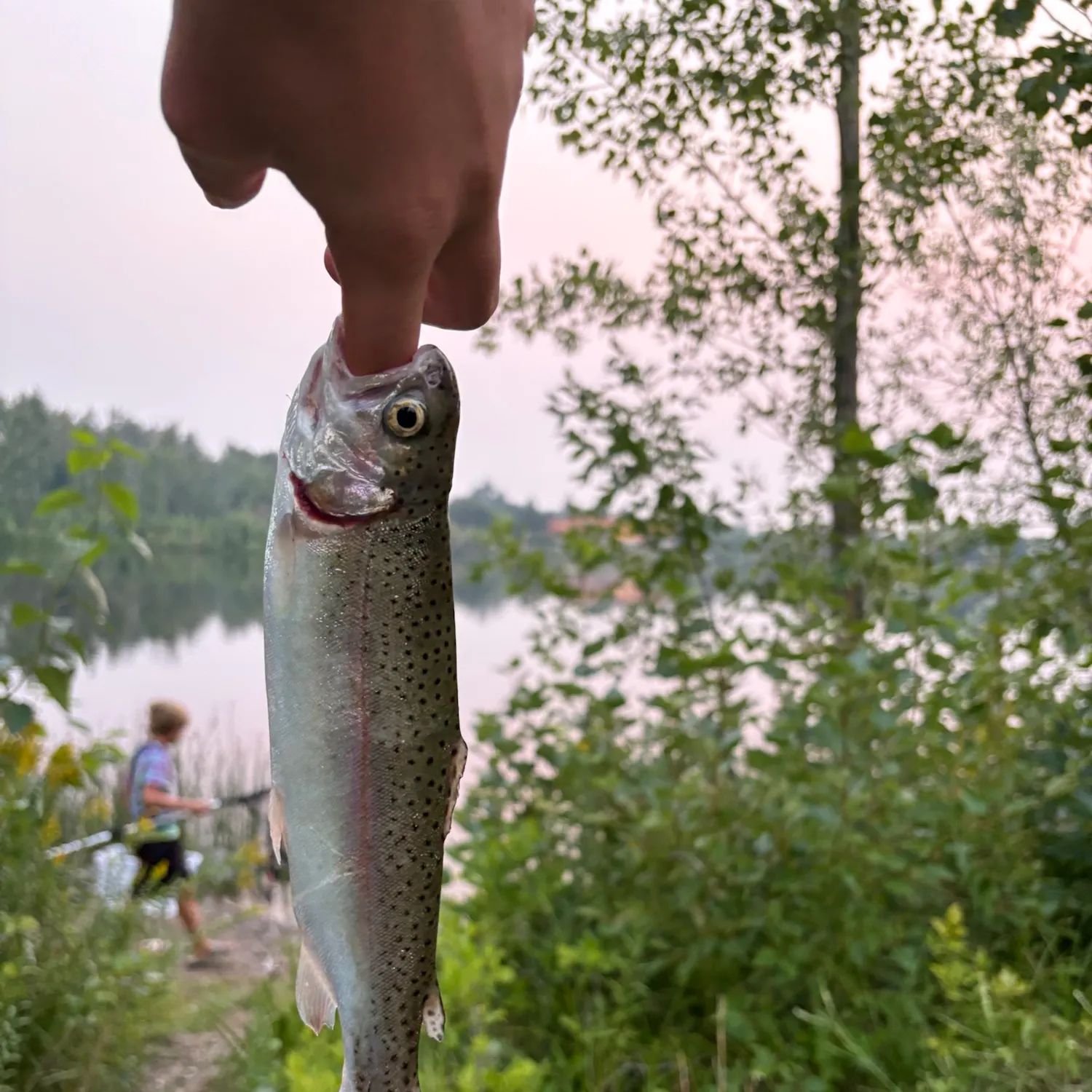 catch