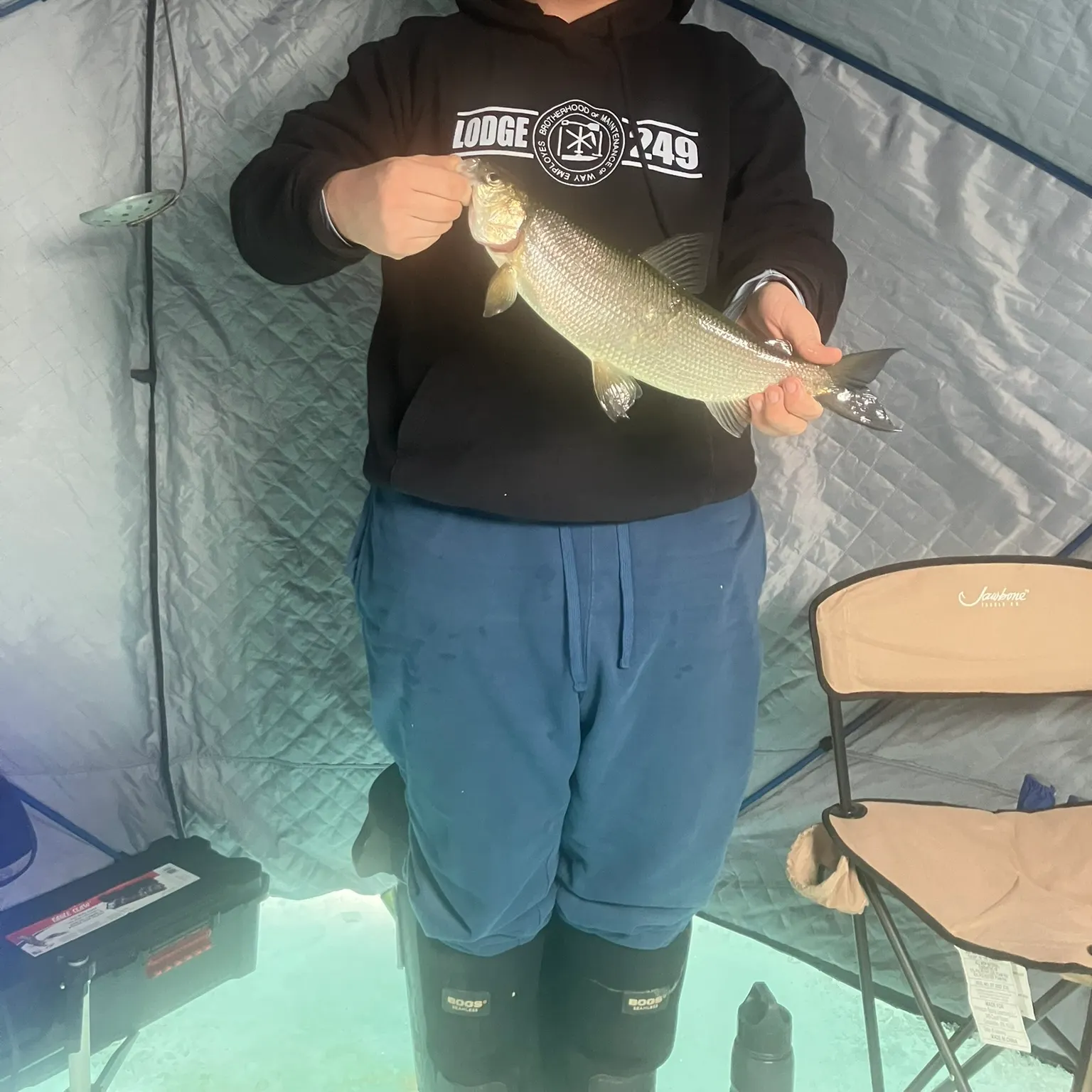 The most recent Northern cisco catches on Fishbrain