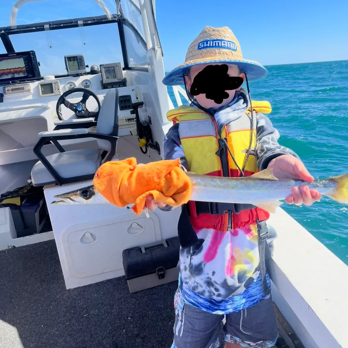 The most recent Australian barracuda catches on Fishbrain