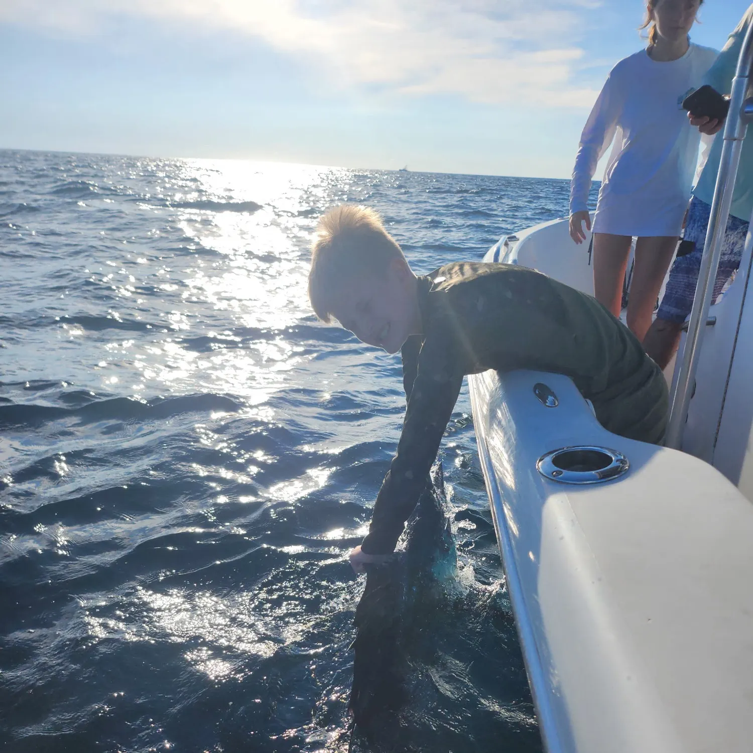The most recent Atlantic sailfish catches on Fishbrain