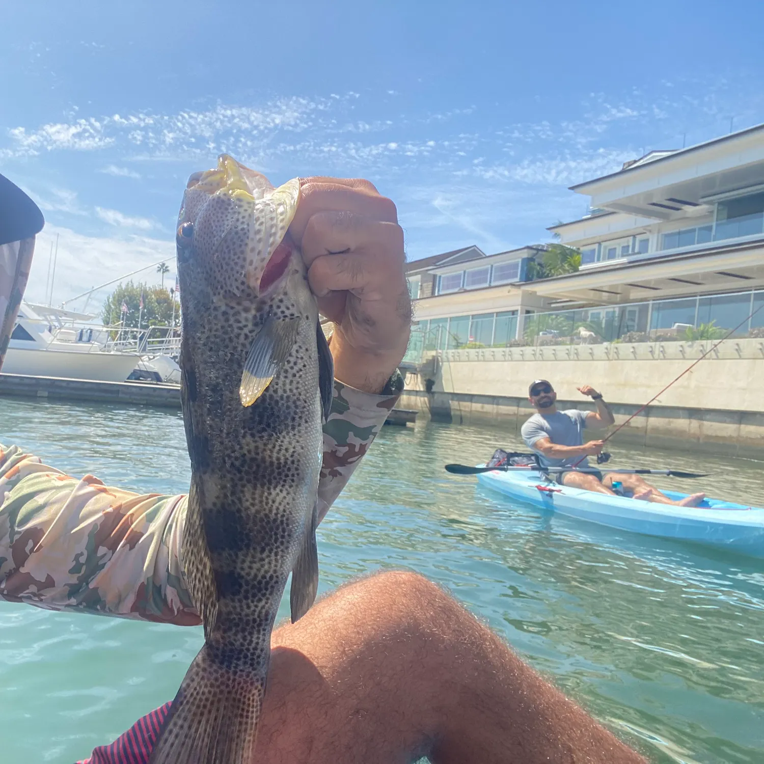 catch