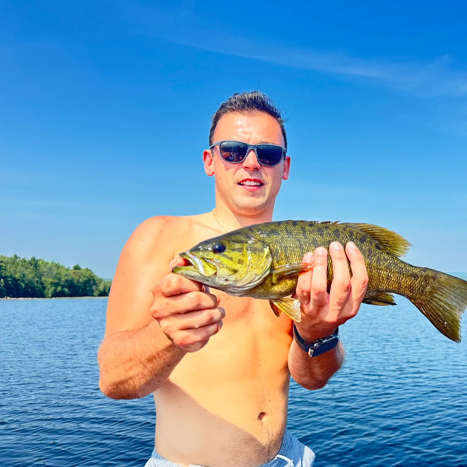 The most recent Smallmouth bass catches on Fishbrain