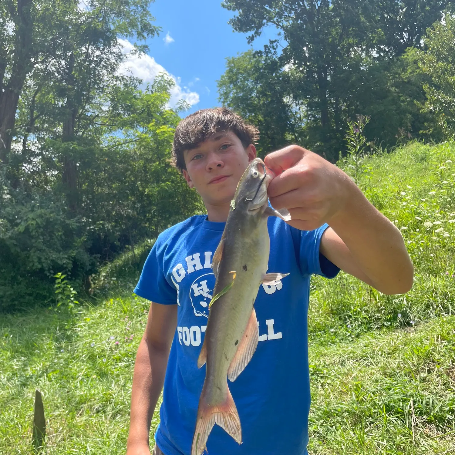 Channel catfish caught on Fishbrain