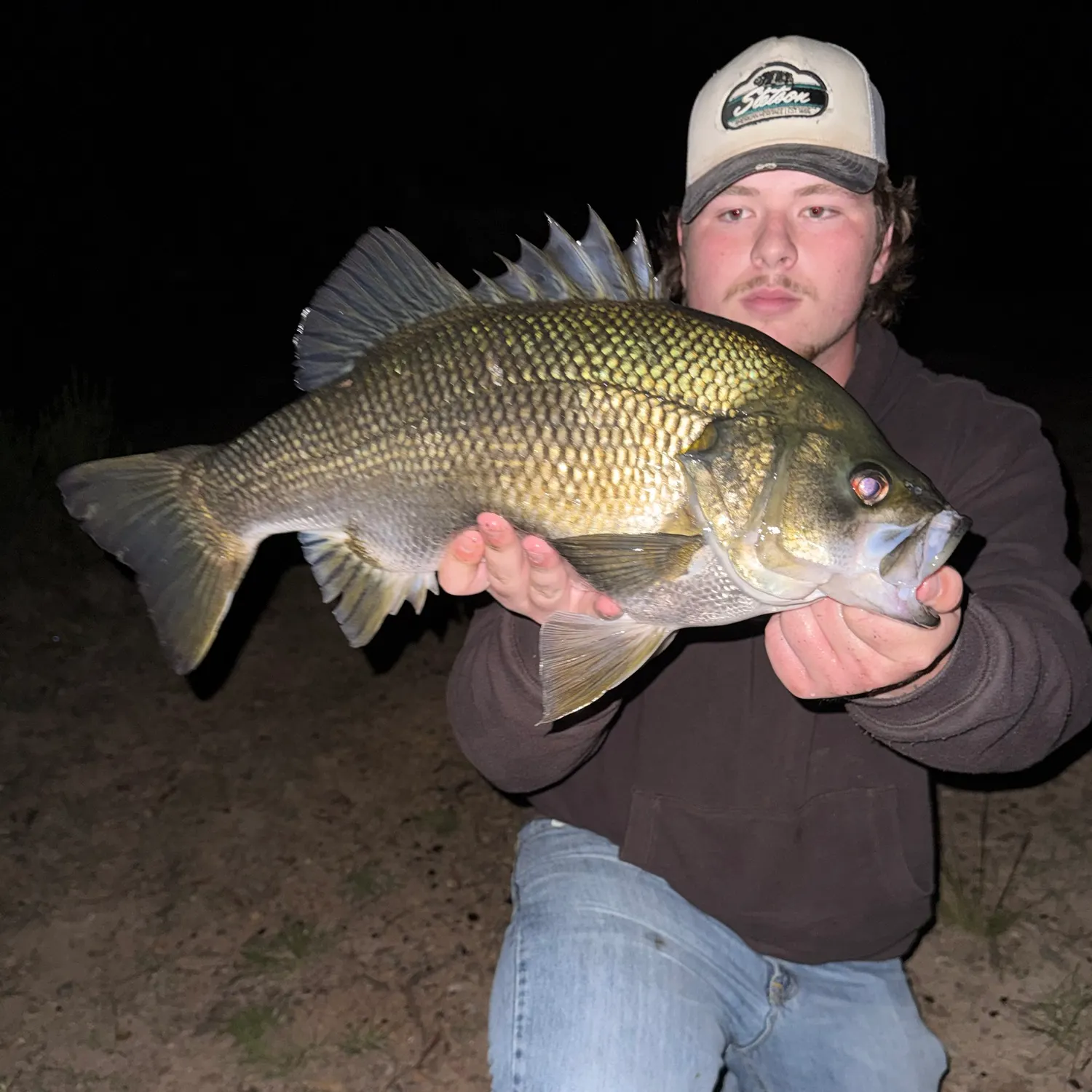 Australian bass caught on Fishbrain