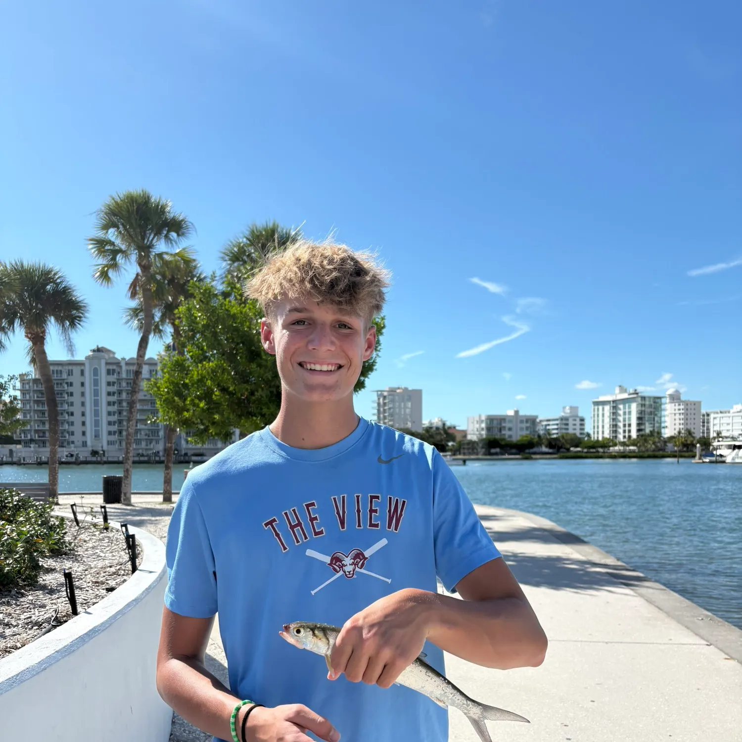 Ladyfish caught on Fishbrain