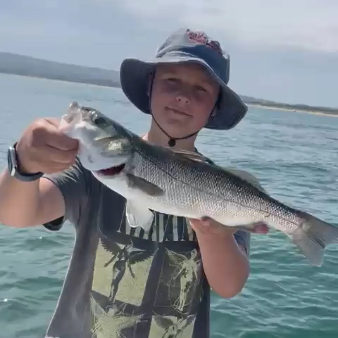 European seabass caught on Fishbrain