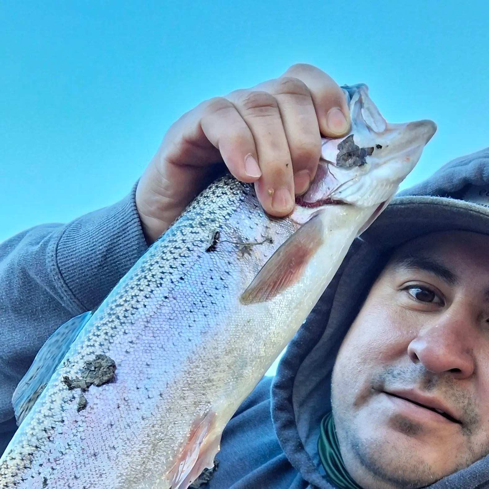 Rainbow trout caught on Fishbrain