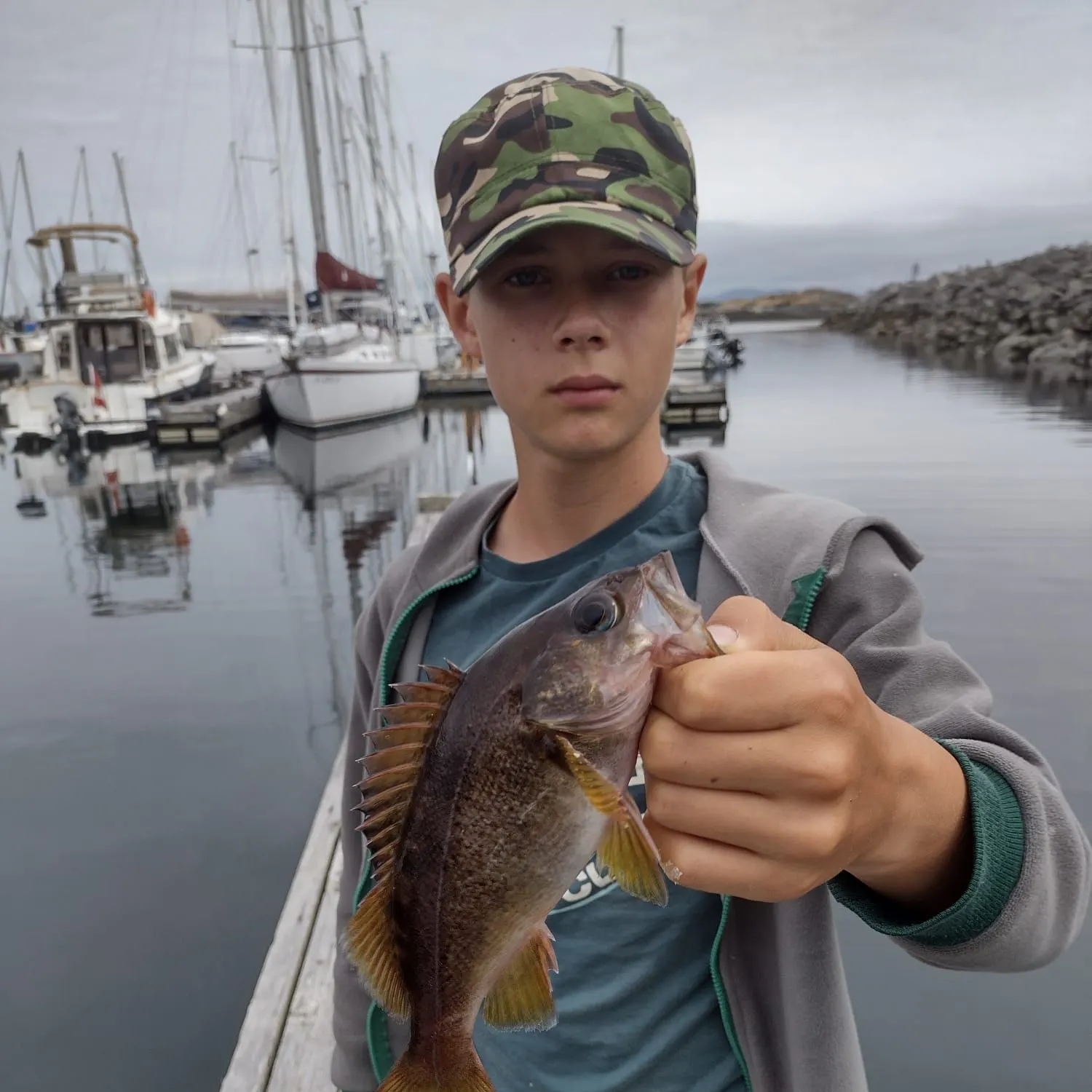 The most recent Yellowtail rockfish catches on Fishbrain