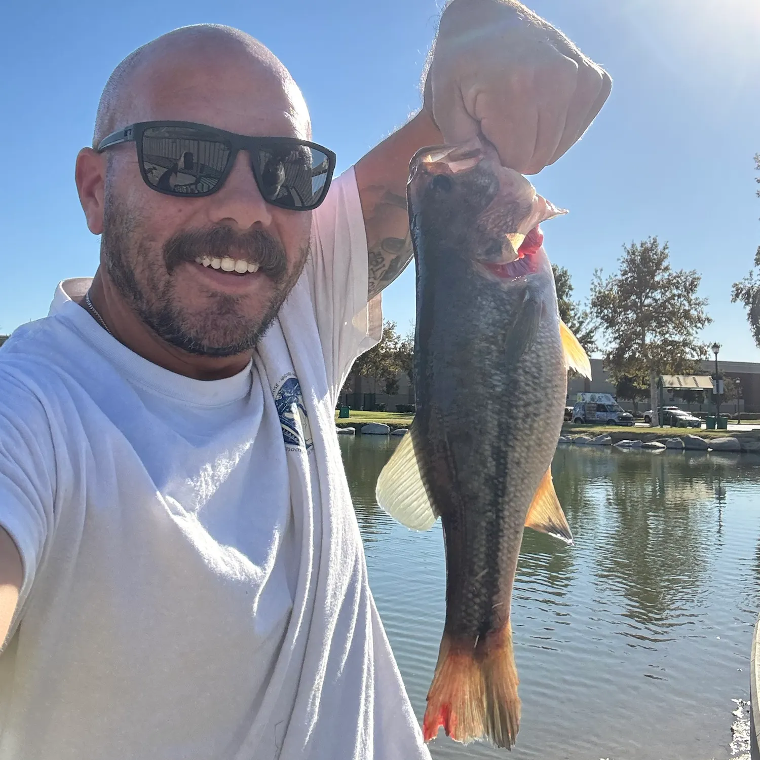 Largemouth bass caught on Fishbrain