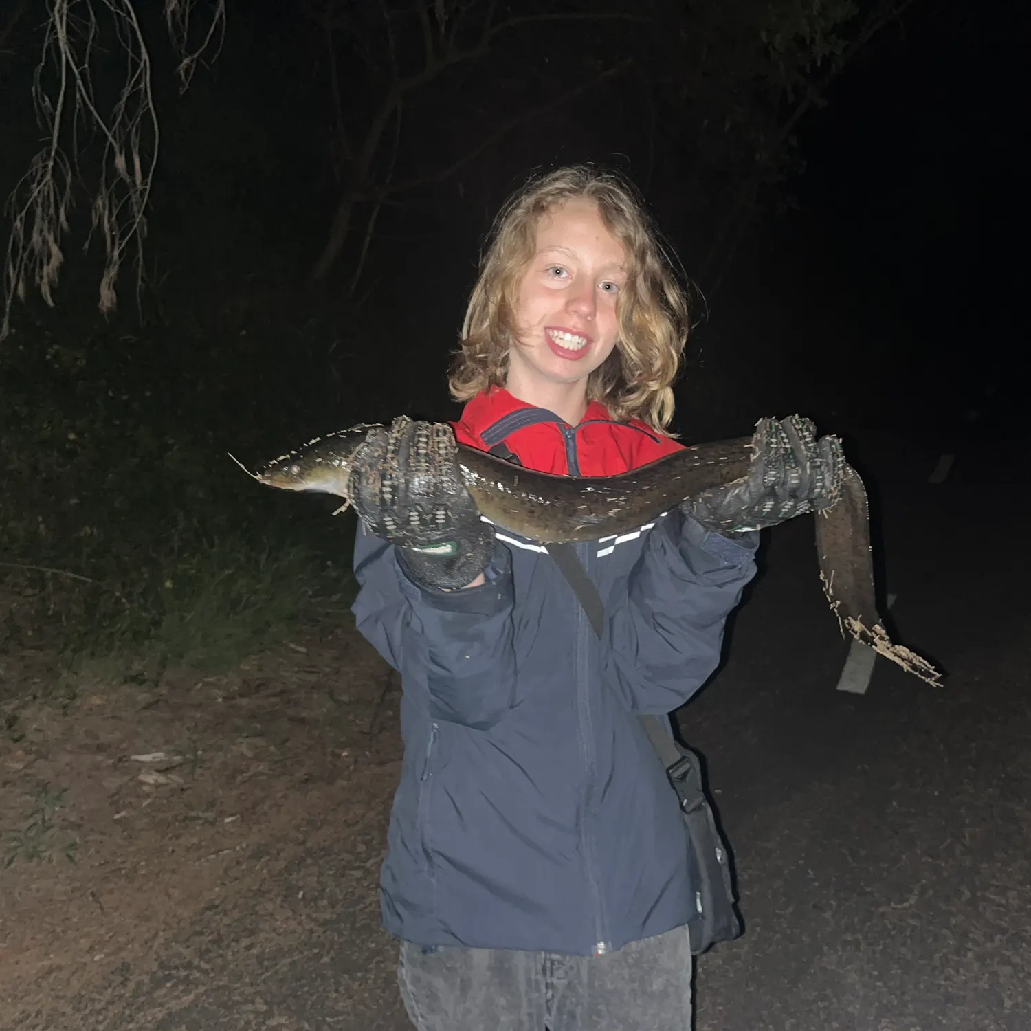 The most recent African longfin eel catches on Fishbrain