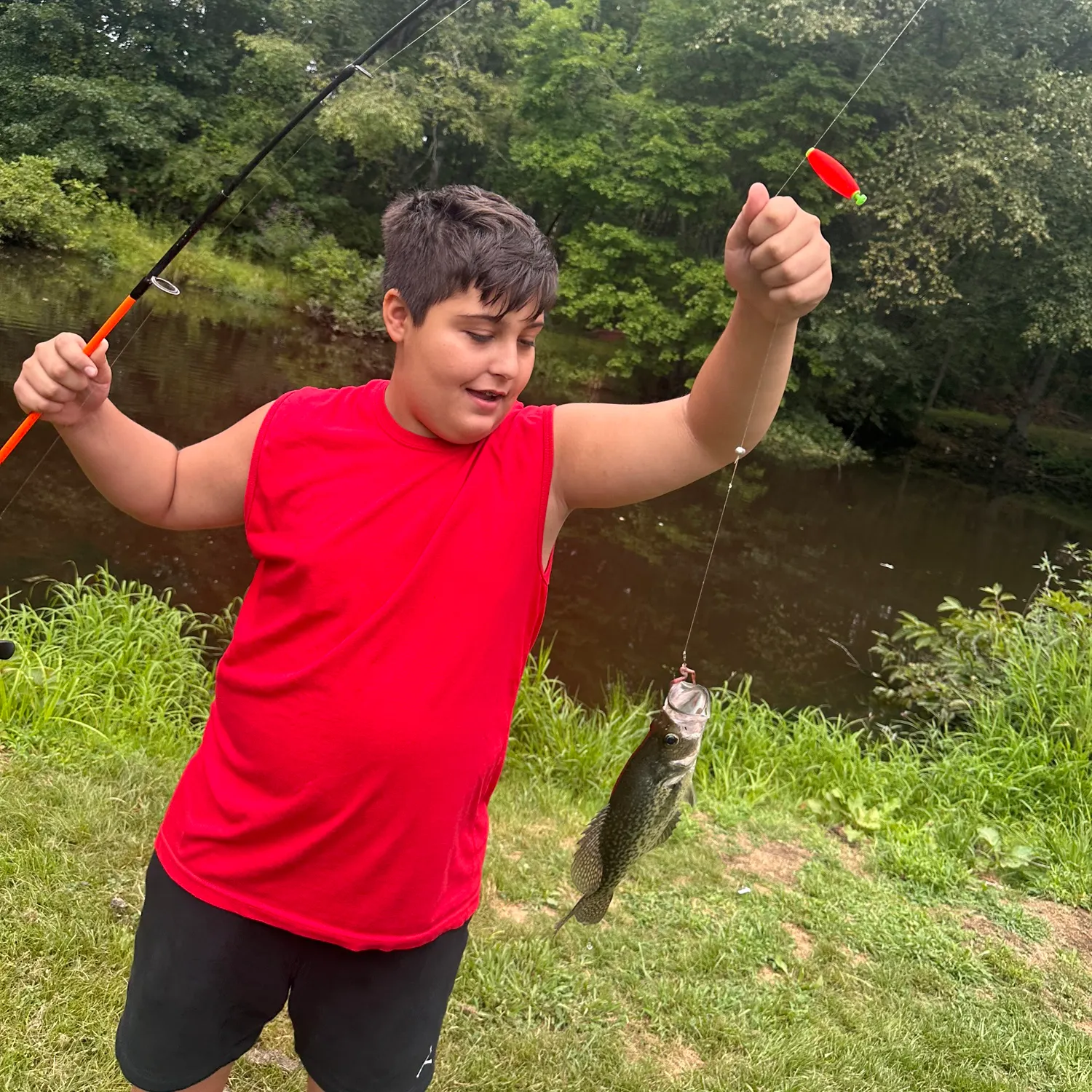Bluegill caught on Fishbrain