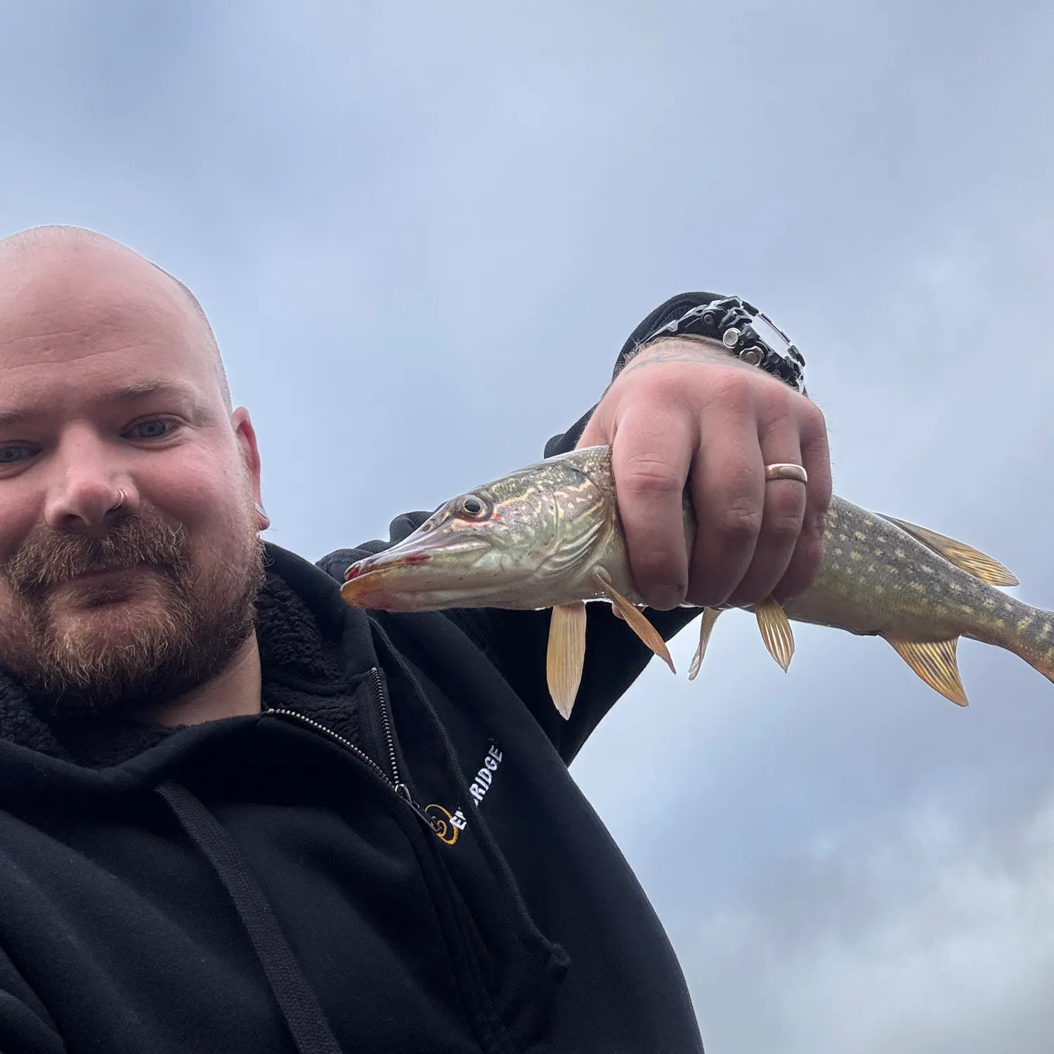 Northern pike caught on Fishbrain