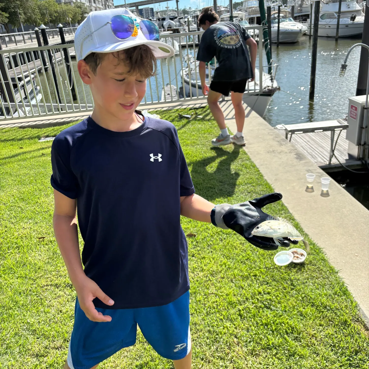 Gafftopsail sea catfish caught on Fishbrain