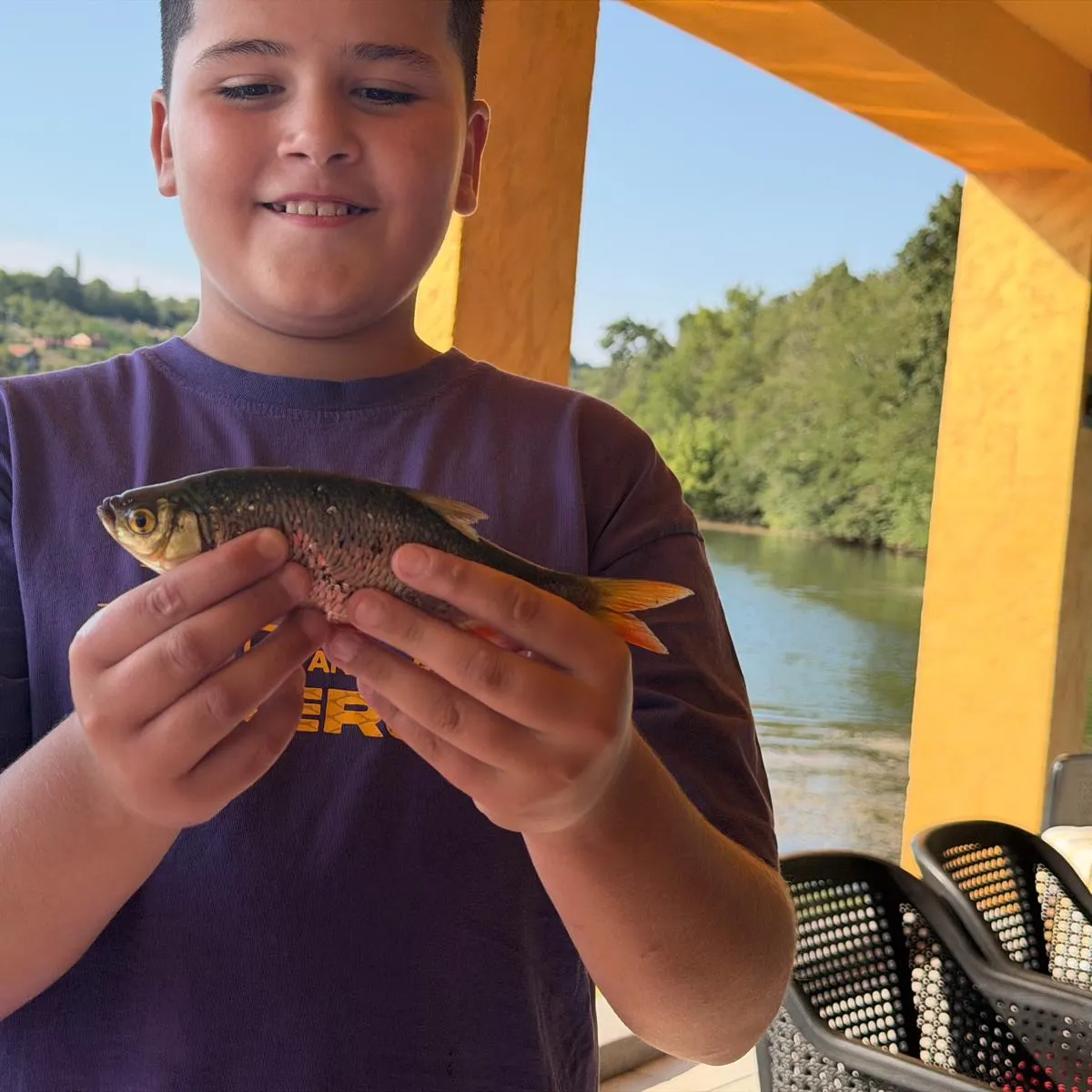 Common rudd caught on Fishbrain