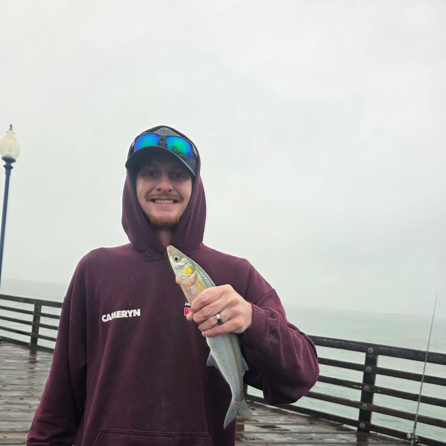 The most recent Surf smelt catches on Fishbrain