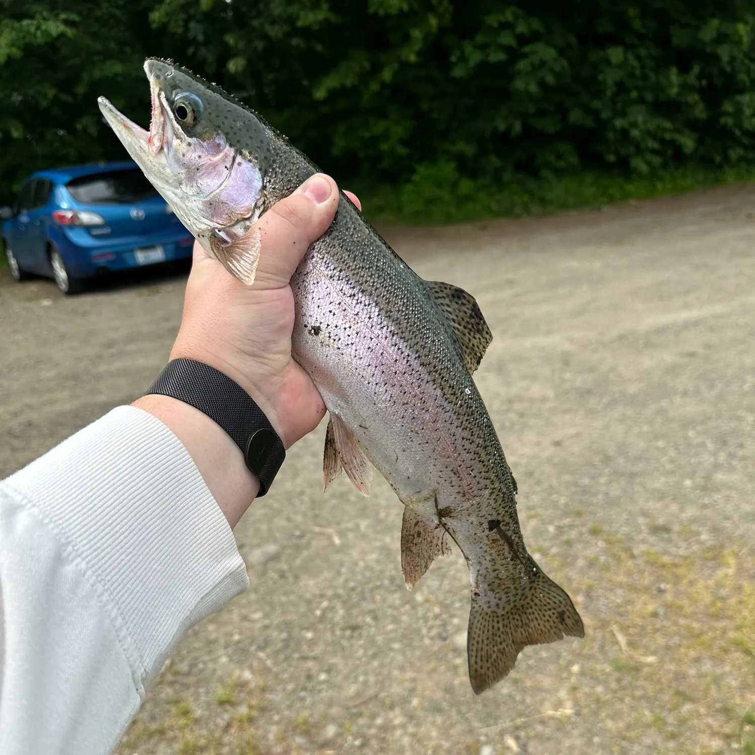 angler catch