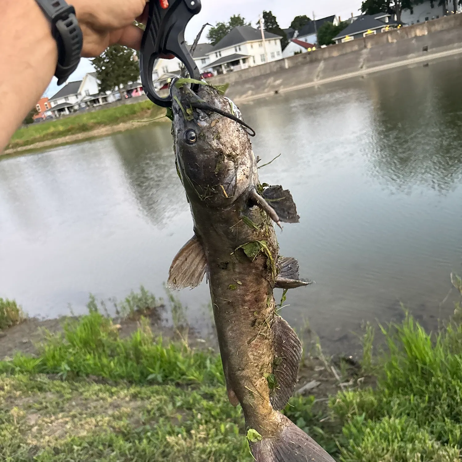 catch