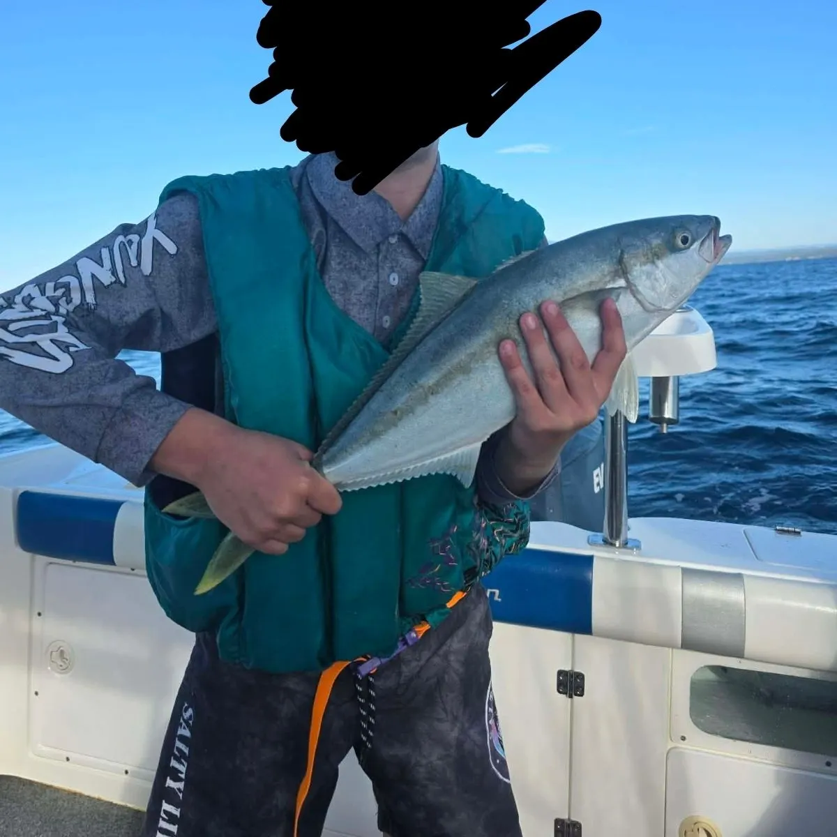 Southern yellowtail amberjack caught on Fishbrain
