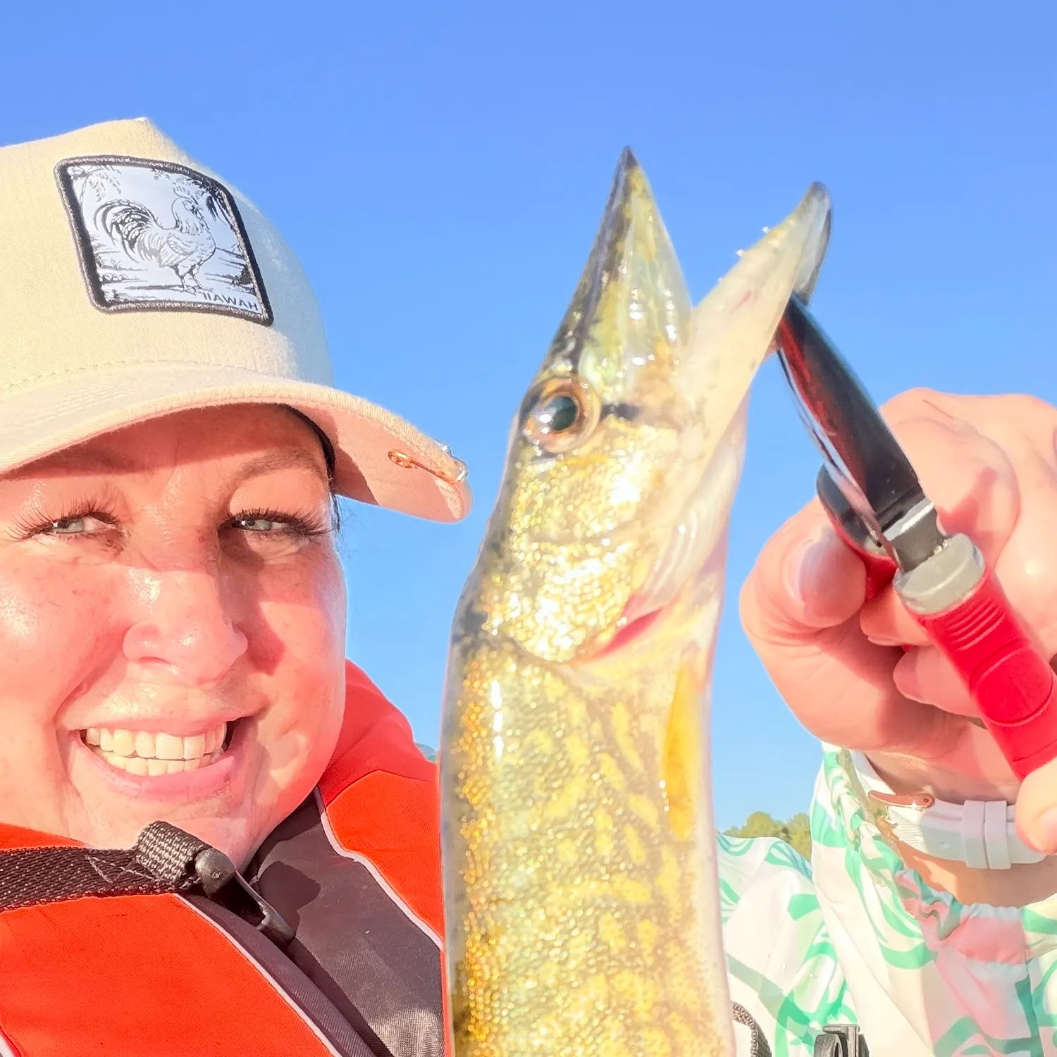Northern pike caught on Fishbrain