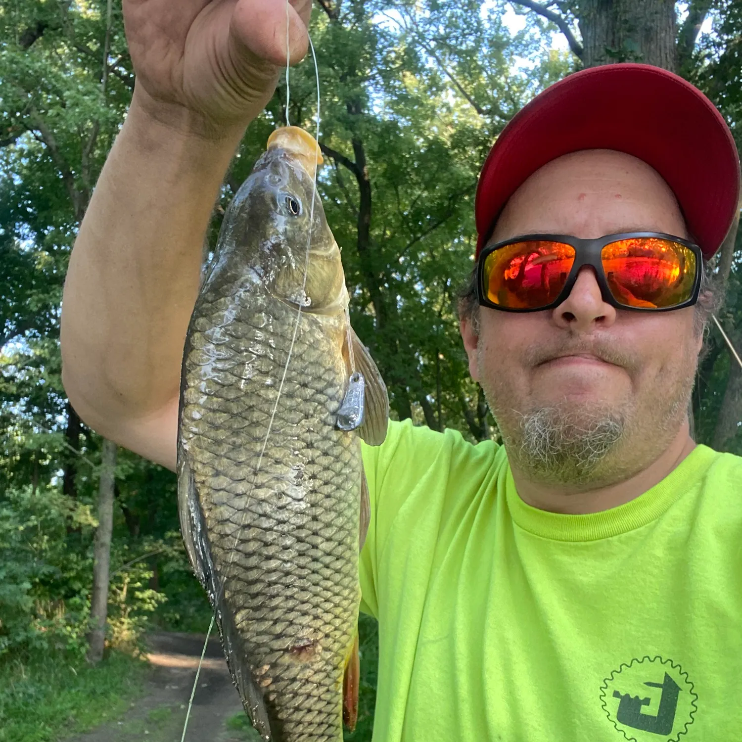 Common carp caught on Fishbrain