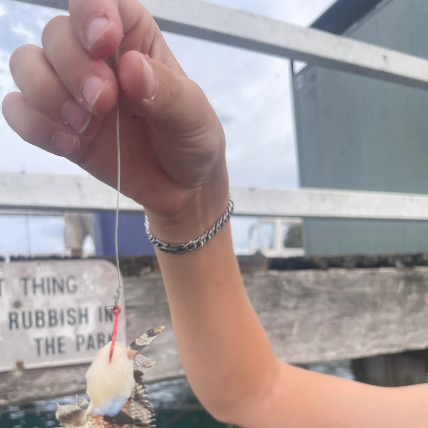 The most recent False stonefish catches on Fishbrain