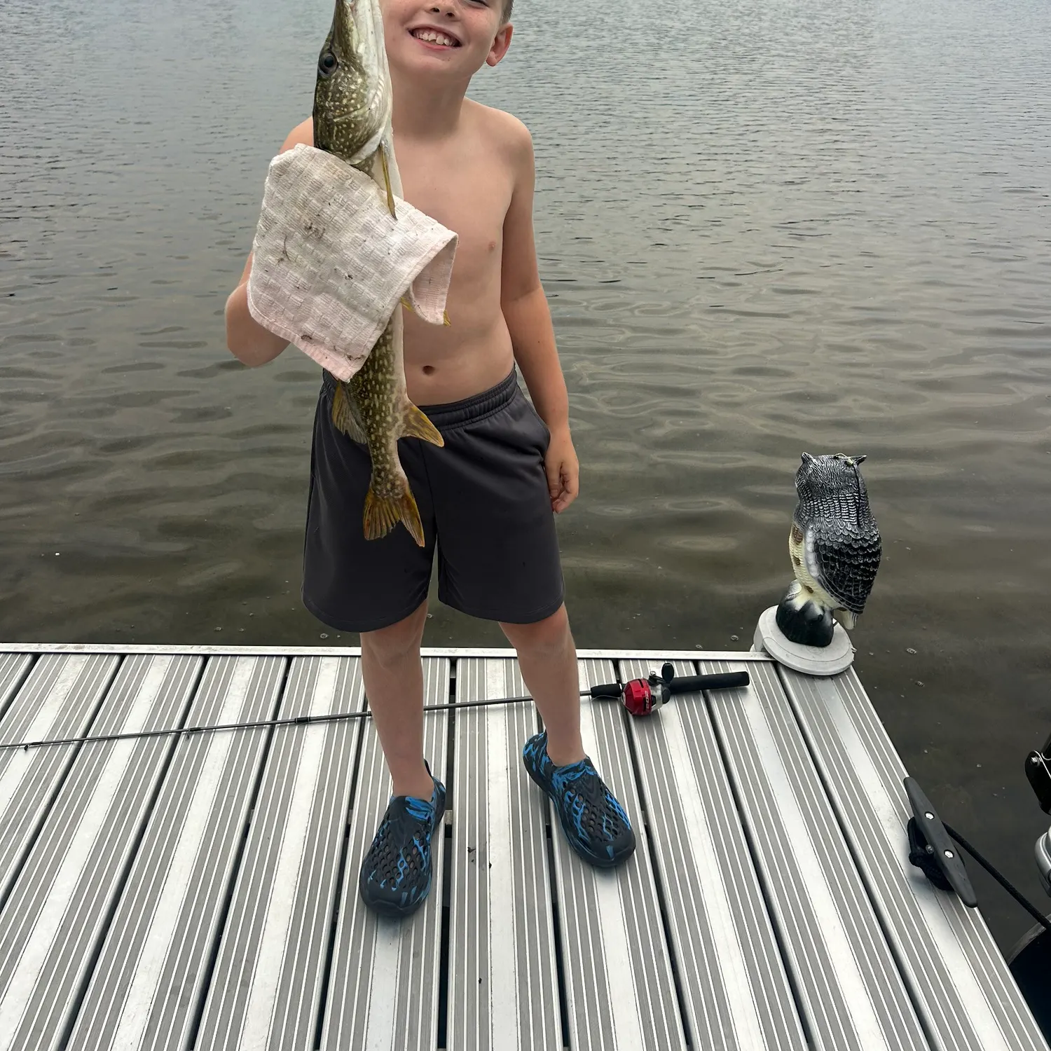 Northern pike caught on Fishbrain