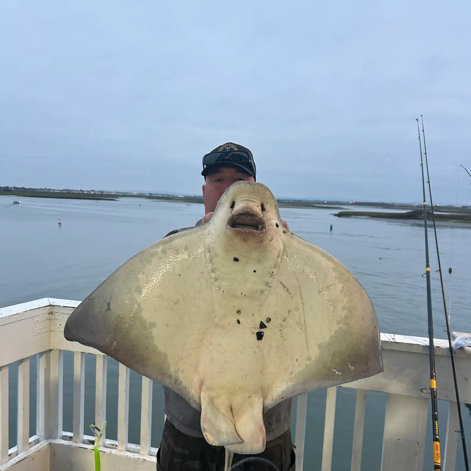 Bat eagle ray caught on Fishbrain
