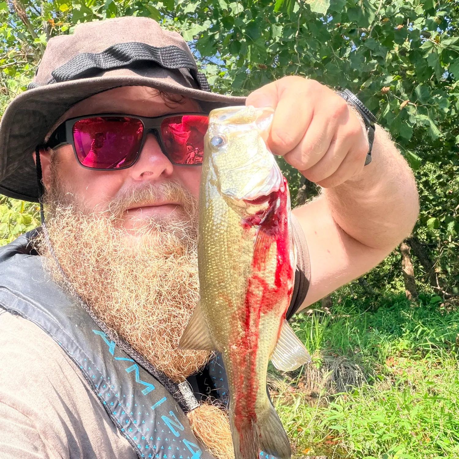 Largemouth bass caught on Fishbrain