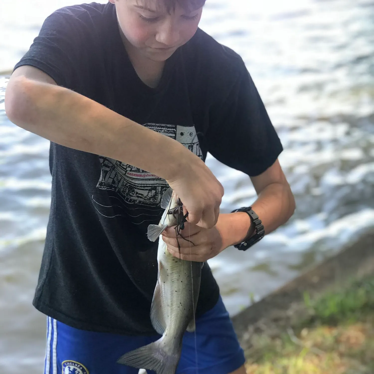 recently logged catches