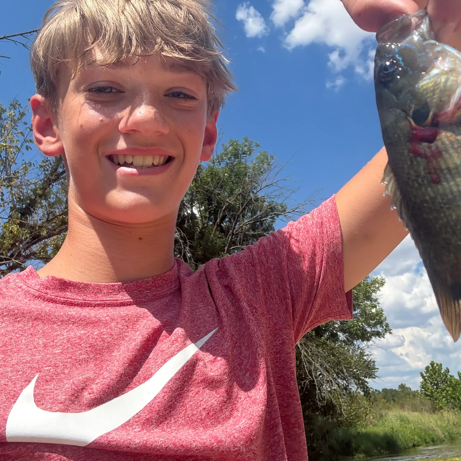 Green sunfish caught on Fishbrain